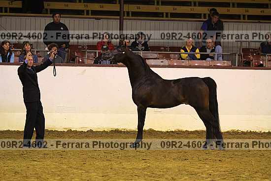 Proof 09r2-4602