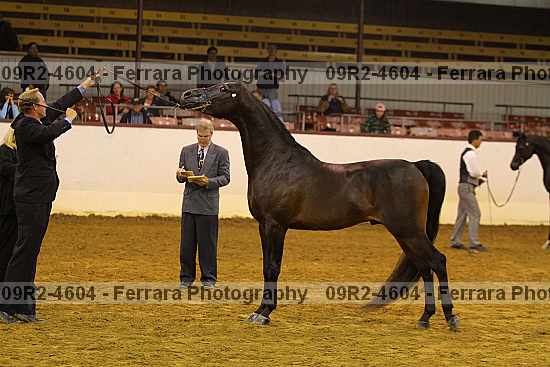 Proof 09r2-4604