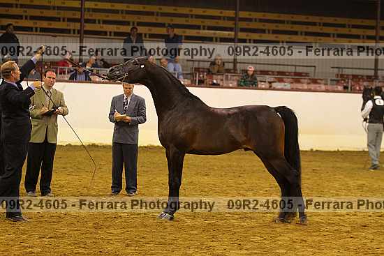 Proof 09r2-4605