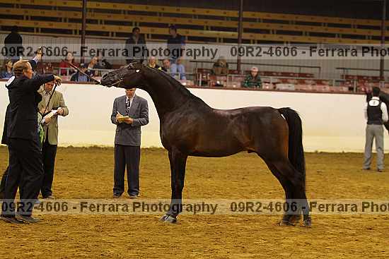 Proof 09r2-4606