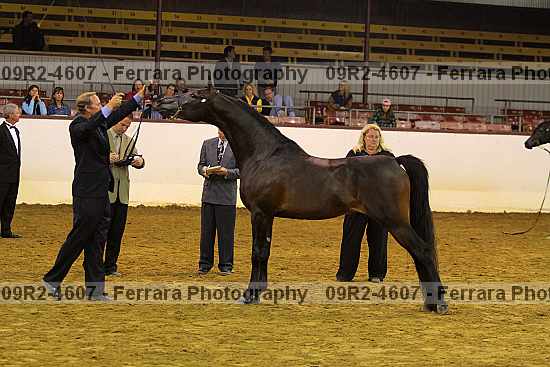 Proof 09r2-4607