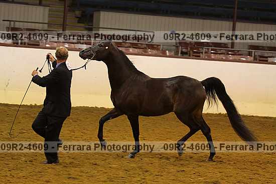 Proof 09r2-4609
