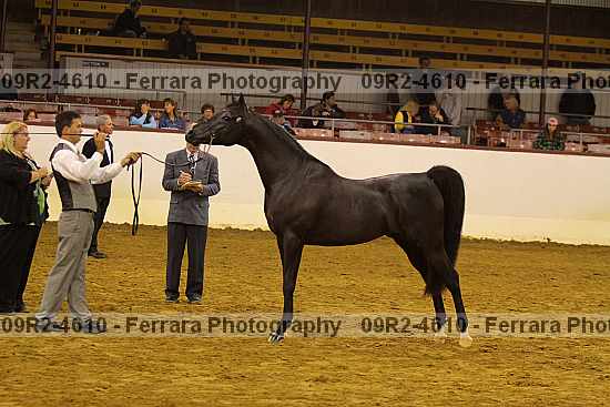 Proof 09r2-4610