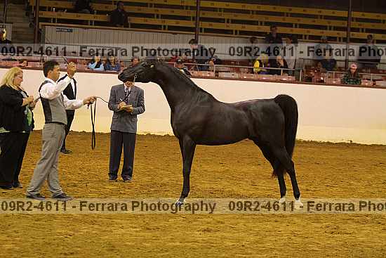 Proof 09r2-4611