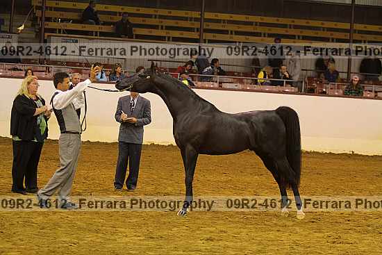 Proof 09r2-4612