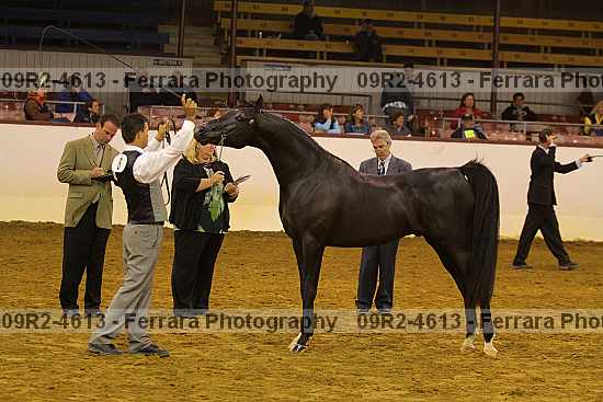 Proof 09r2-4613