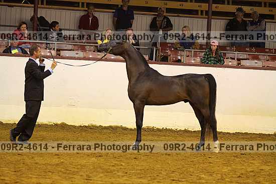 Proof 09r2-4614