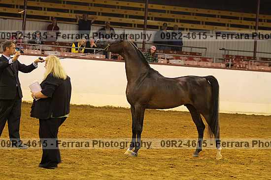 Proof 09r2-4615