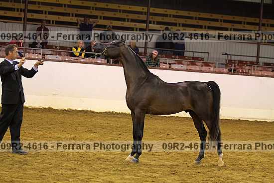 Proof 09r2-4616