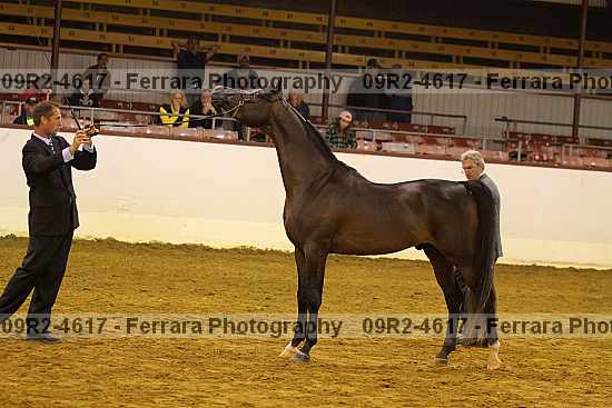 Proof 09r2-4617