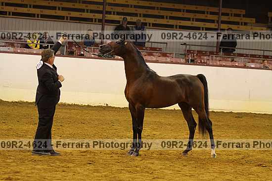 Proof 09r2-4624