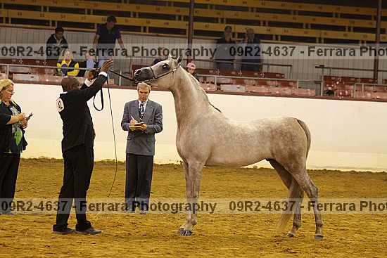 Proof 09r2-4637