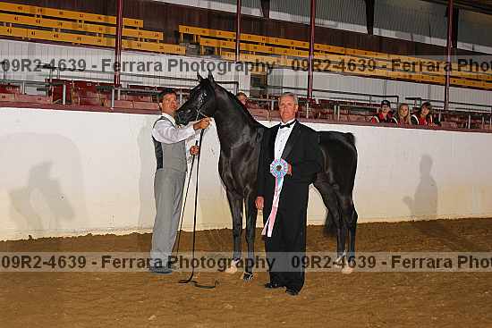 Proof 09r2-4639