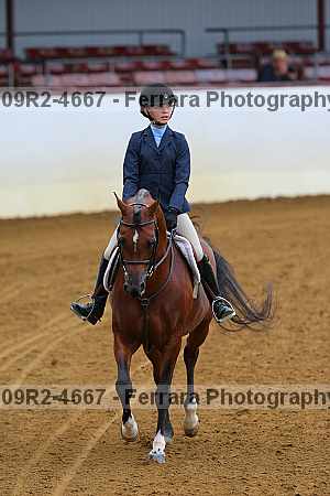 Proof 09r2-4667