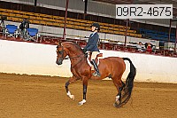 09r2-4675 proof