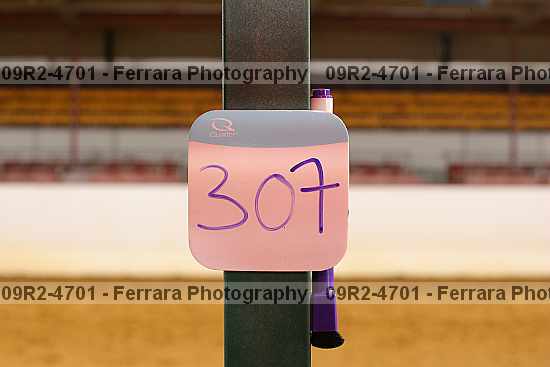 Proof 09r2-4701