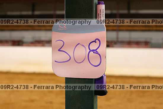 Proof 09r2-4738