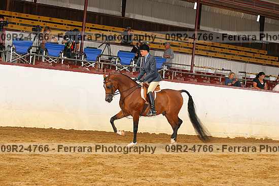 Proof 09r2-4766