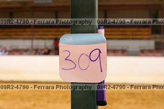 Proof 09r2-4790