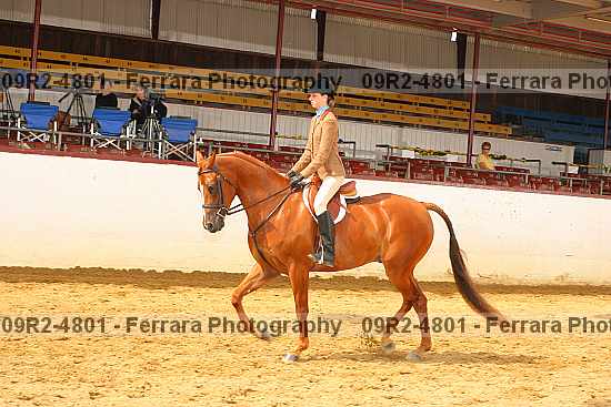 Proof 09r2-4801