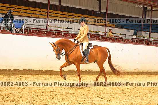 Proof 09r2-4803