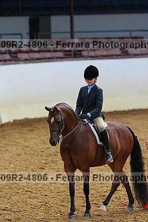 Proof 09r2-4806