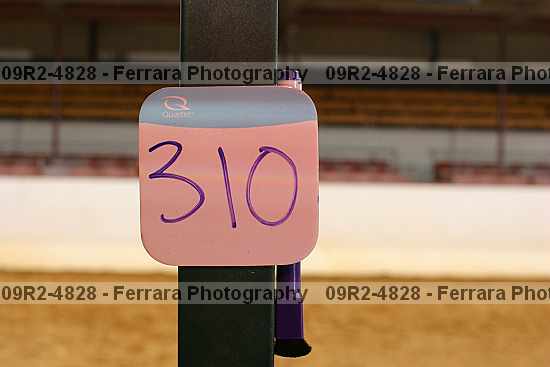 Proof 09r2-4828