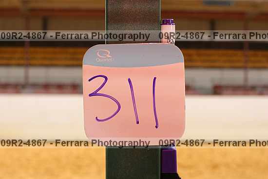 Proof 09r2-4867