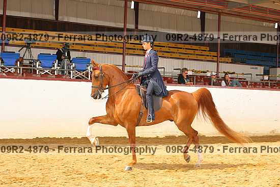 Proof 09r2-4879