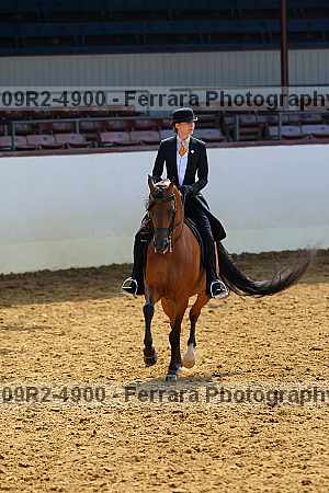 Proof 09r2-4900