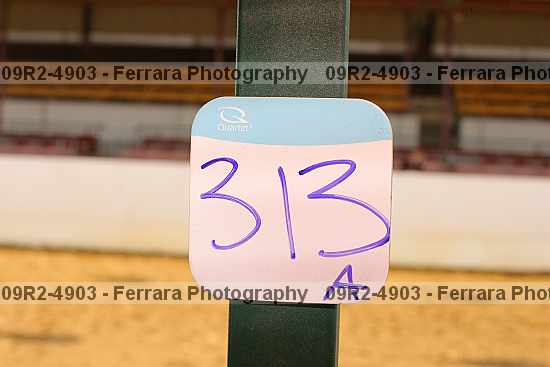 Proof 09r2-4903
