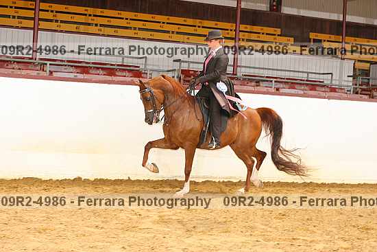 Proof 09r2-4986