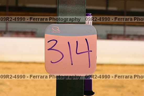Proof 09r2-4990