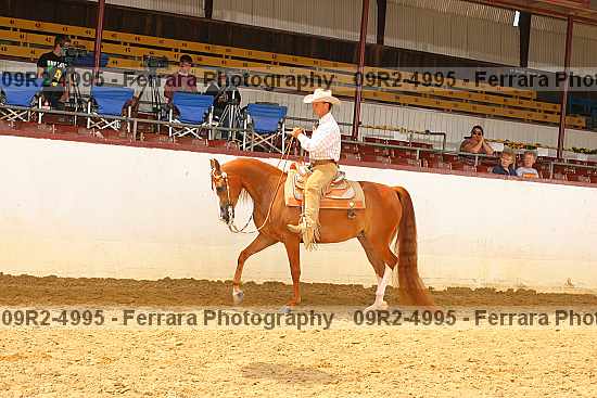 Proof 09r2-4995