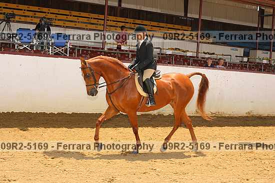 Proof 09r2-5169