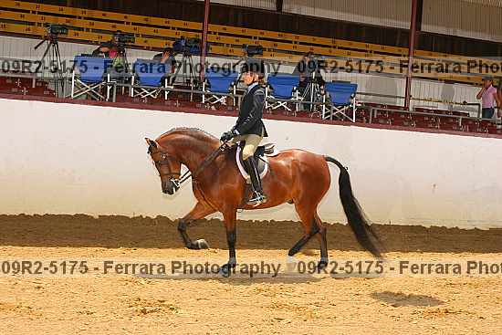 Proof 09r2-5175