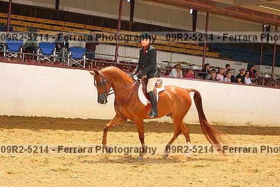Proof 09r2-5214