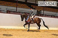09r2-5243 proof
