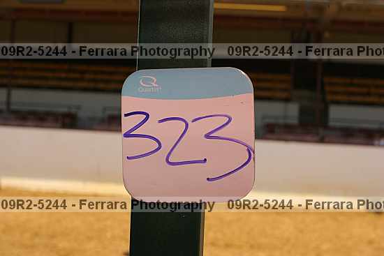 Proof 09r2-5244