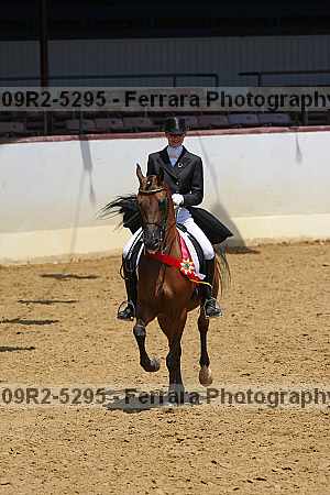 Proof 09r2-5295