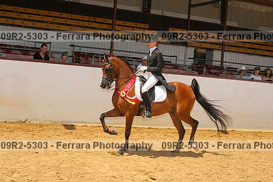 Proof 09r2-5303
