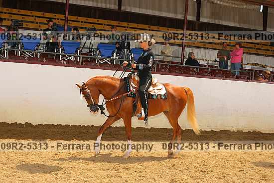 Proof 09r2-5313