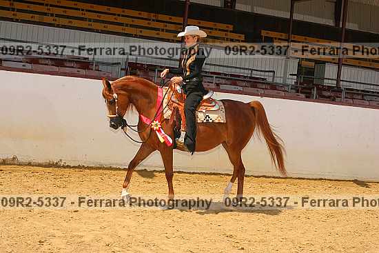 Proof 09r2-5337