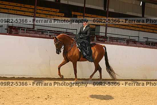 Proof 09r2-5366