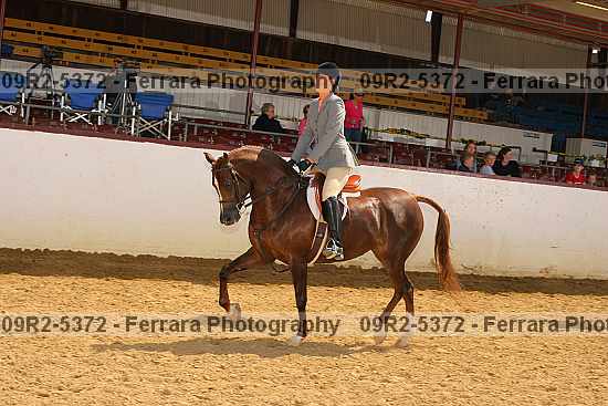 Proof 09r2-5372