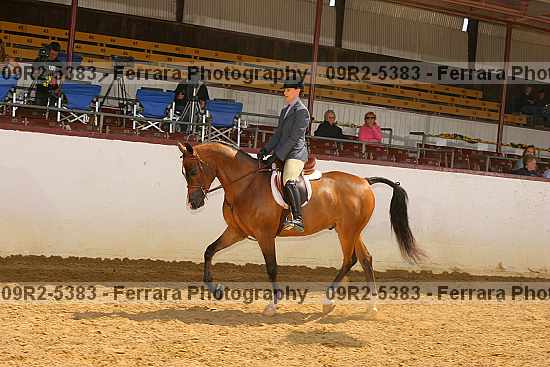 Proof 09r2-5383
