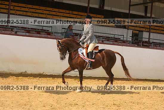 Proof 09r2-5388