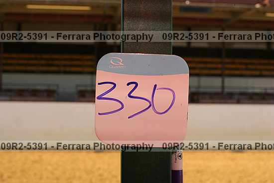Proof 09r2-5391