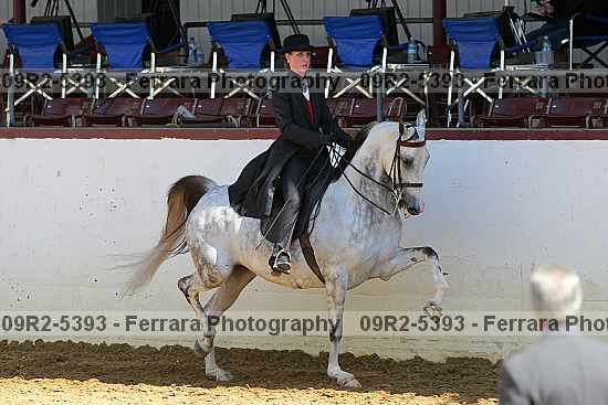 Proof 09r2-5393