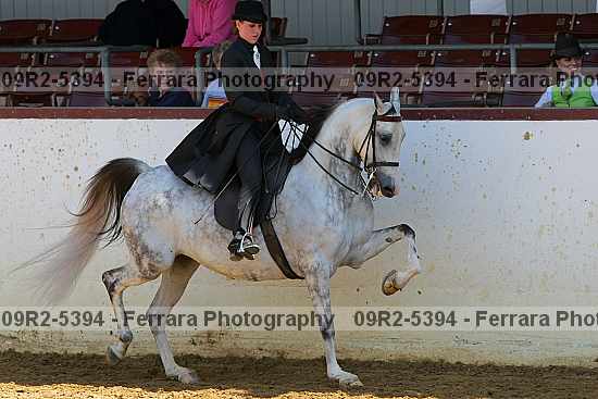 Proof 09r2-5394
